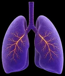 Respiratory