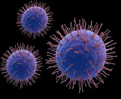 Anti-Infective