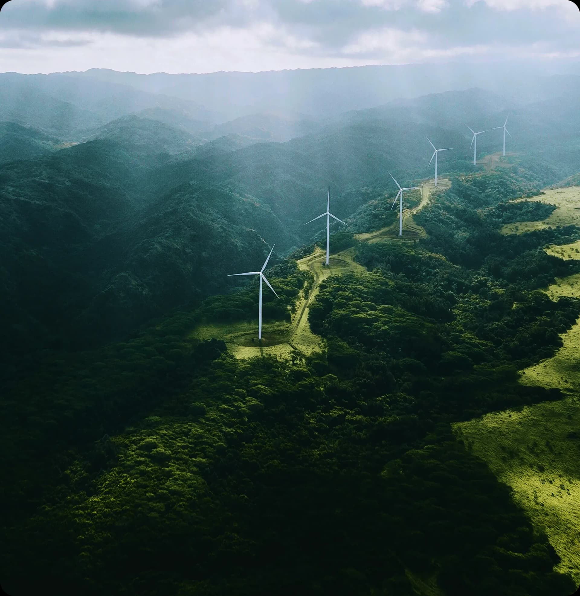 Sustainability