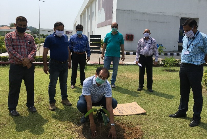 Cadila Pharmaceuticals celebrates World Environment Day with a tree plantation drive